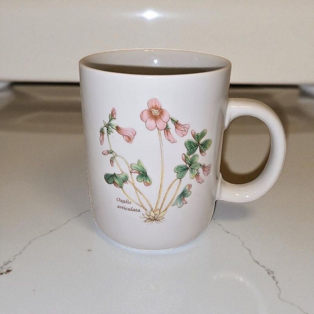 BIA Cordon Bleu Coffee Mug Vintage Oxalis Flower Ceramic 3.5” Botanical Cup
